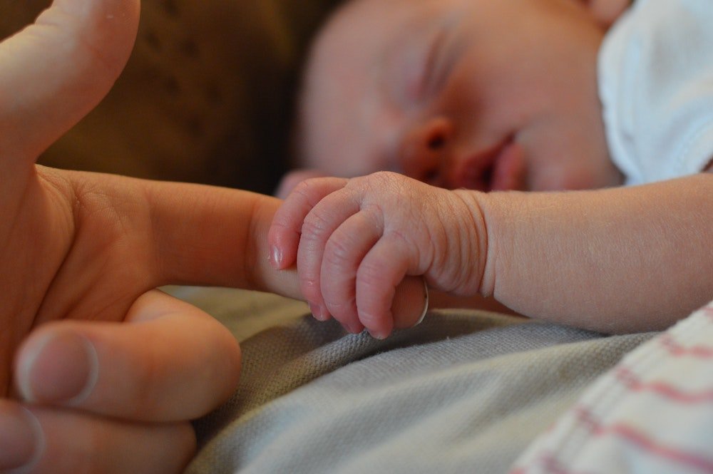 The Fertility Diet: European Foods and Nutrients That Support Conception and Hormone Balance - Conceive Plus® Europe