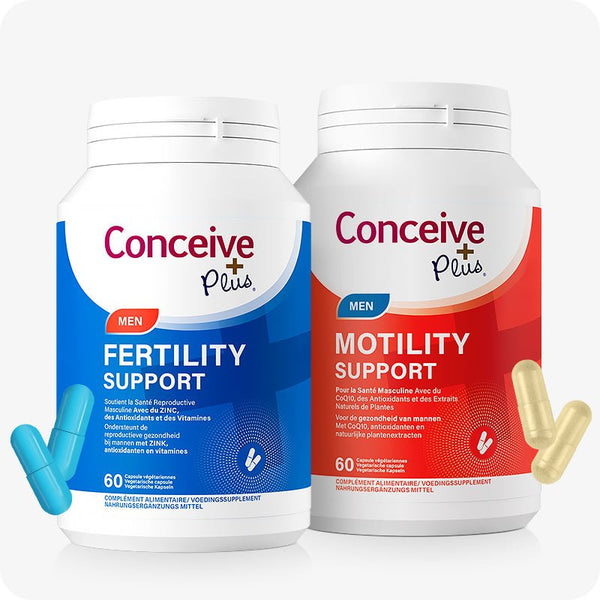 which is better acetyl l-carnitine or l-carnitine ACETYL-L-CARNITINE 250 MG 60 CAPS