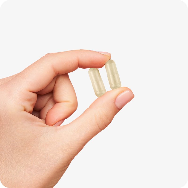 For Conceive Plus Ovulation Pack - Fertility + Ovulation Support (FR), showing a close-up of a hand holding two beige women ovulation support capsules, highlighting their vegetarian shell and compact size, ideal for daily hormonal balance and cycle regulation in women.