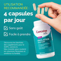 Ovulation Support (FR) - Conceive Plus® Europe